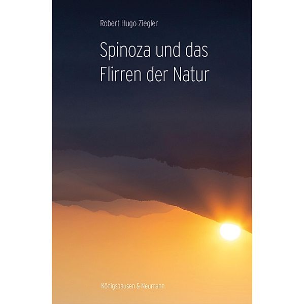 Spinoza und das Flirren der Natur, Robert Hugo Ziegler