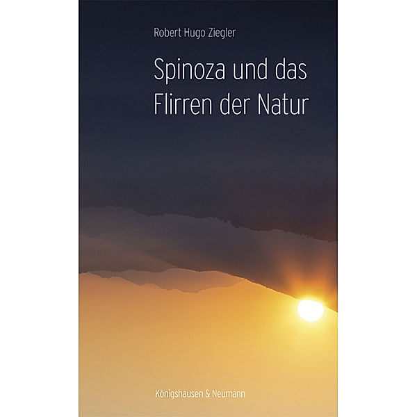 Spinoza und das Flirren der Natur, Robert Hugo Ziegler