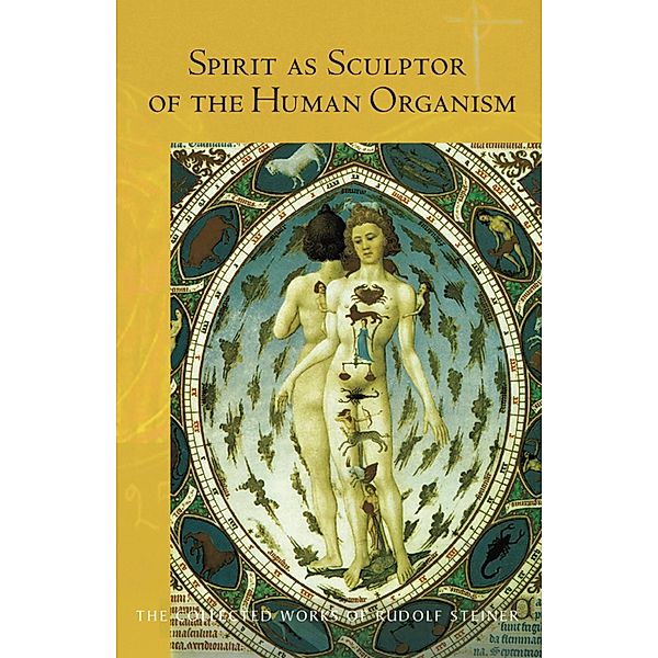 Spirit as Sculptor of the Human Organism, Rudolf Steiner
