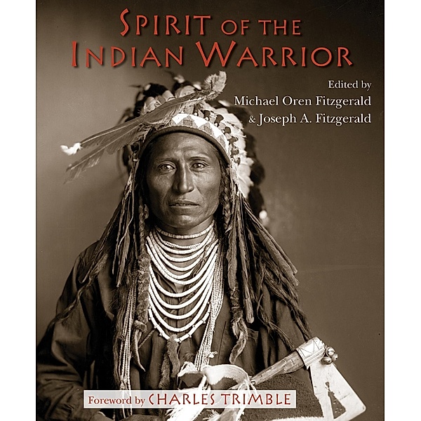 Spirit of the Indian Warrior