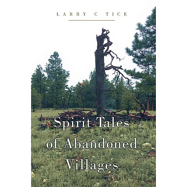 Spirit Tales of Abandoned Villages, Larry C Tice