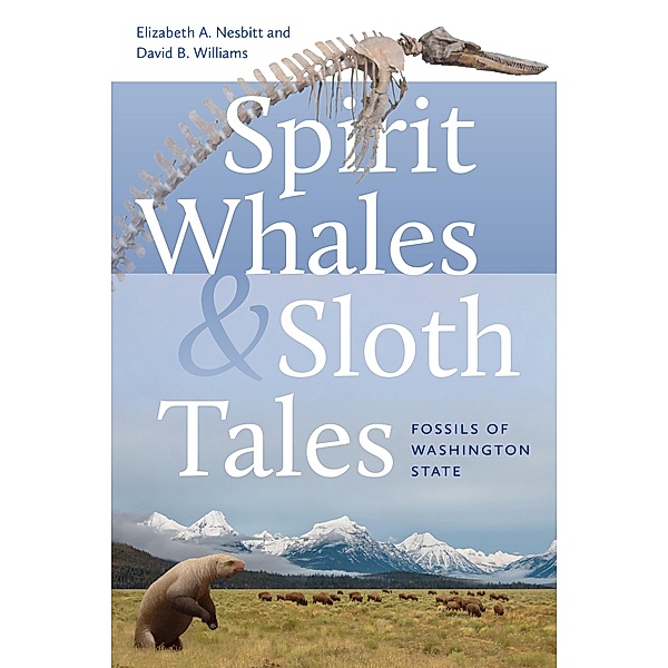 Spirit Whales and Sloth Tales, Elizabeth A. Nesbitt, David B. Williams