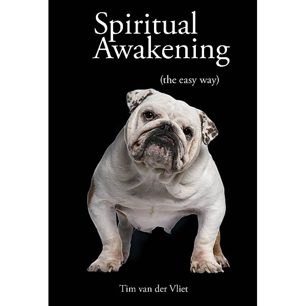 Spiritual Awakening (The Easy Way) / Hay House UK, Tim van der Vliet