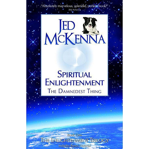 Spiritual Enlightenment: The Damnedest Thing (Enlightenment Trilogy, #1), Jed McKenna