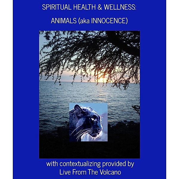 Spiritual Health & Wellness: Animals (aka Innocence) / Spiritual Health & Wellness, Live From The Volcano