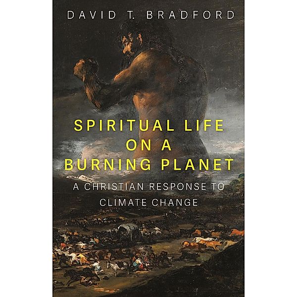 Spiritual Life on a Burning Planet, David T. Bradford