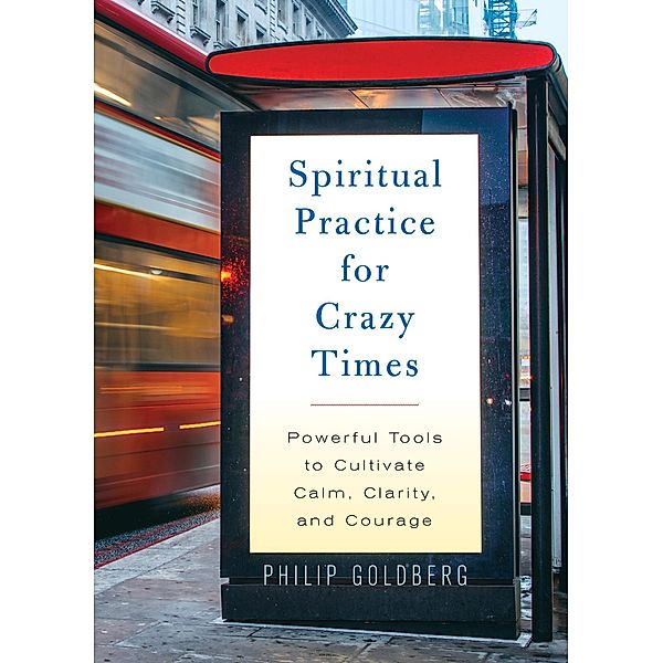 Spiritual Practice for Crazy Times, Philip Goldberg