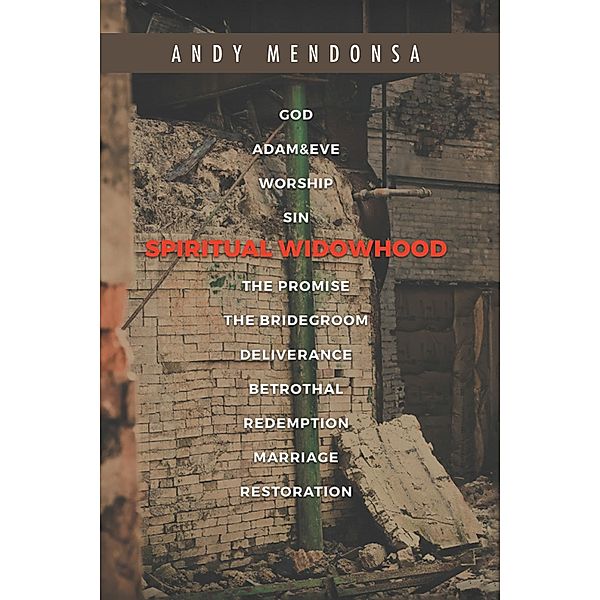 Spiritual Widowhood, Andy Mendonsa