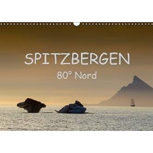 Spitzbergen 80° Nord (Wandkalender 2016 DIN A3 quer), Ralf Weise