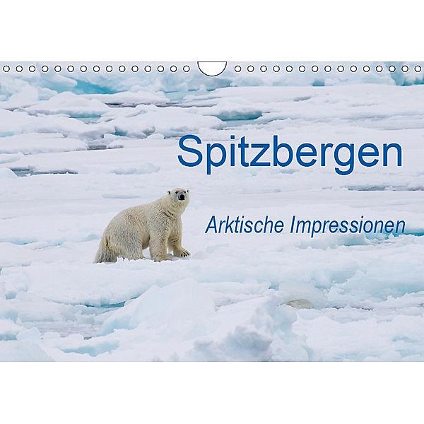 Spitzbergen - Arktische Impressionen (Wandkalender 2019 DIN A4 quer), Wilfried Martin