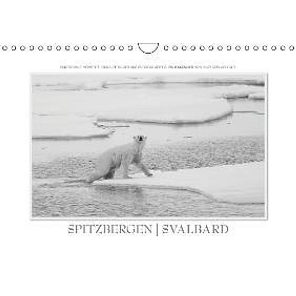 Spitzbergen Svalbard (Wandkalender 2016 DIN A4 quer), Ingo Gerlach