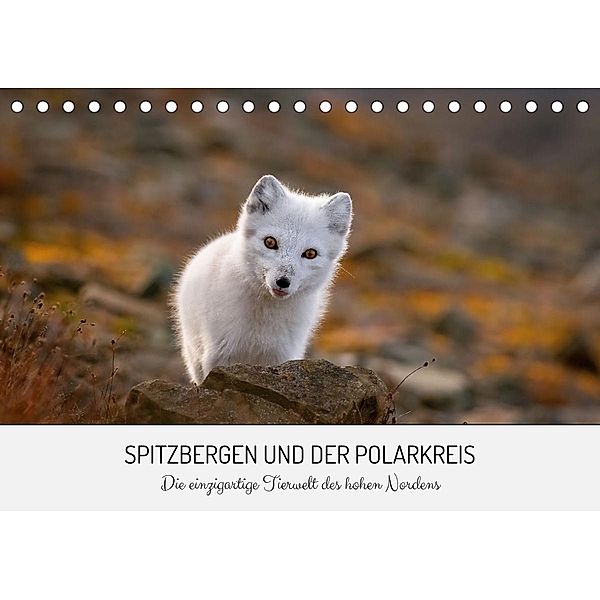 Spitzbergen und der Polarkreis (Tischkalender 2023 DIN A5 quer), David Lerch