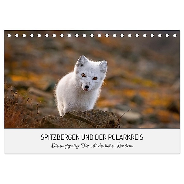 Spitzbergen und der Polarkreis (Tischkalender 2024 DIN A5 quer), CALVENDO Monatskalender, David Lerch