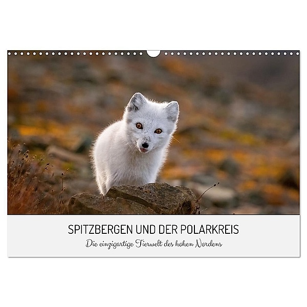 Spitzbergen und der Polarkreis (Wandkalender 2024 DIN A3 quer), CALVENDO Monatskalender, David Lerch