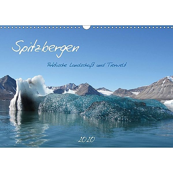 Spitzbergen (Wandkalender 2020 DIN A3 quer), Brigitte Schlögl