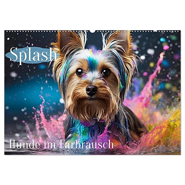 Splash - Hunde im Farbrausch (Wandkalender 2025 DIN A2 quer), CALVENDO Monatskalender, Calvendo, Fotodesign Verena Scholze