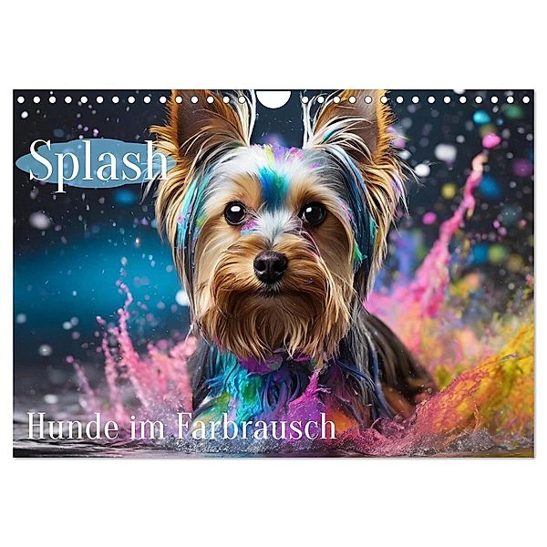 Splash - Hunde im Farbrausch (Wandkalender 2025 DIN A4 quer), CALVENDO Monatskalender, Calvendo, Fotodesign Verena Scholze