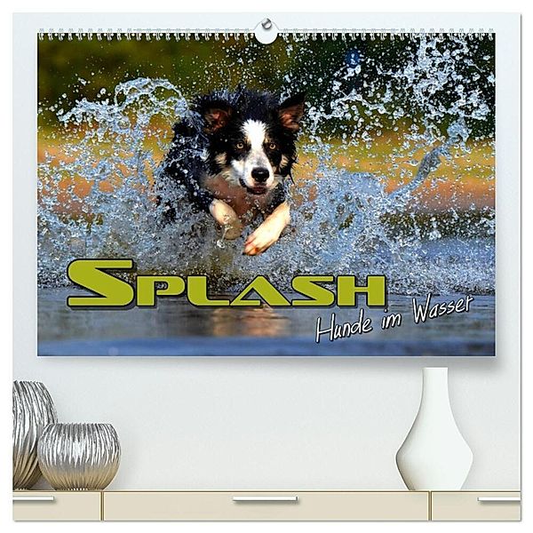 SPLASH - Hunde im Wasser (hochwertiger Premium Wandkalender 2024 DIN A2 quer), Kunstdruck in Hochglanz, Renate Bleicher