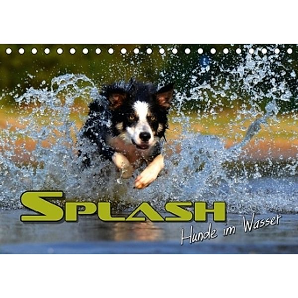 SPLASH - Hunde im Wasser (Tischkalender 2016 DIN A5 quer), Renate Bleicher