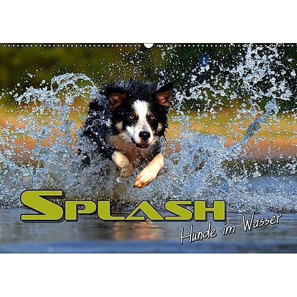 SPLASH - Hunde im Wasser (Wandkalender 2017 DIN A2 quer), Renate Bleicher