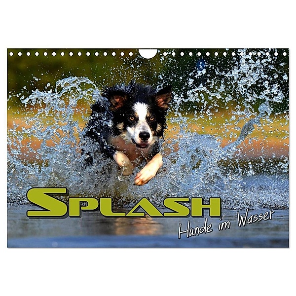 SPLASH - Hunde im Wasser (Wandkalender 2024 DIN A4 quer), CALVENDO Monatskalender, Renate Bleicher