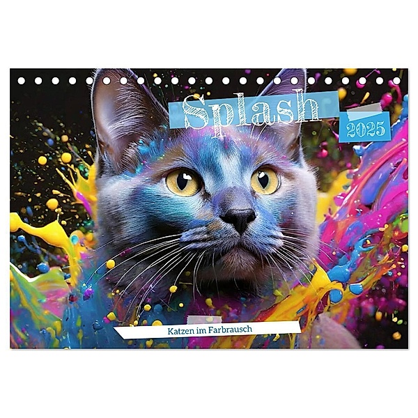 Splash - Katzen im Farbrausch (Tischkalender 2025 DIN A5 quer), CALVENDO Monatskalender, Calvendo, Fotodesign Verena Scholze