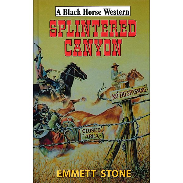 Splintered Canyon, Emmett Stone