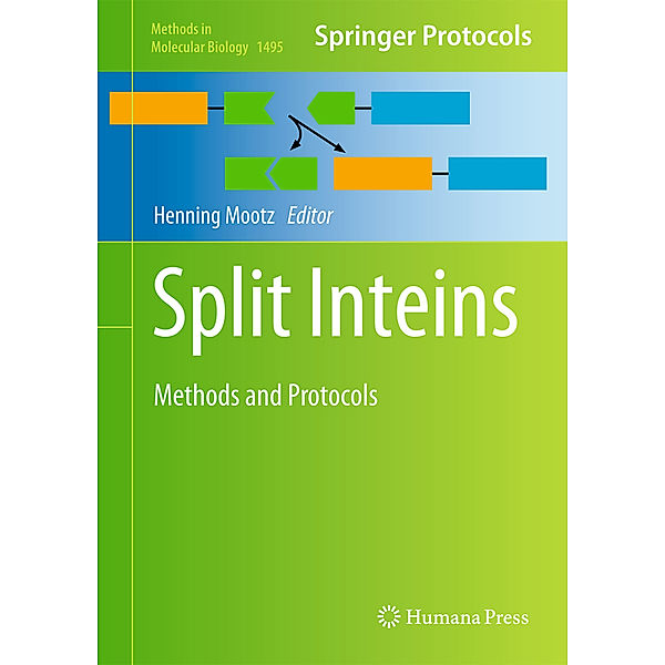 Split Inteins