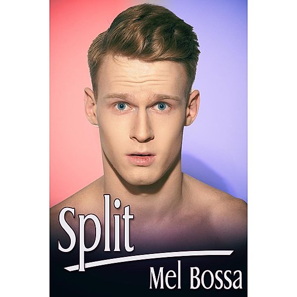 Split / JMS Books LLC, Mel Bossa