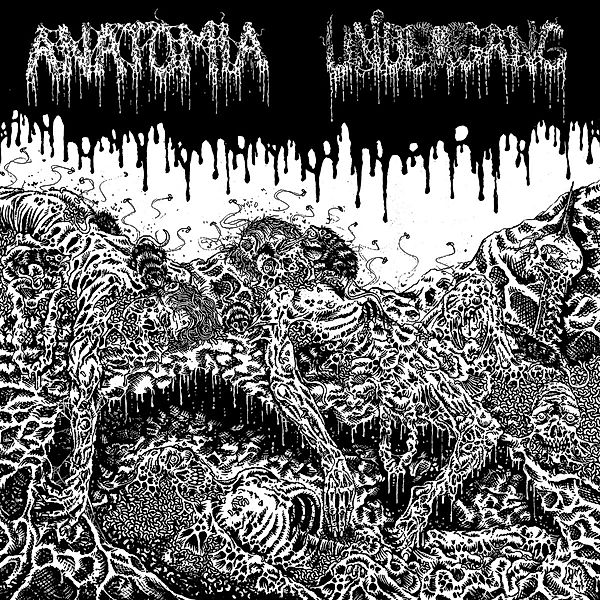 Split Lp (Vinyl), Undergang, Anatomia