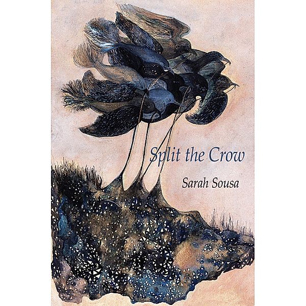 Split the Crow / Free Verse Editions, Sarah Sousa