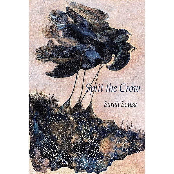 Split the Crow / Free Verse Editions, Sarah Sousa