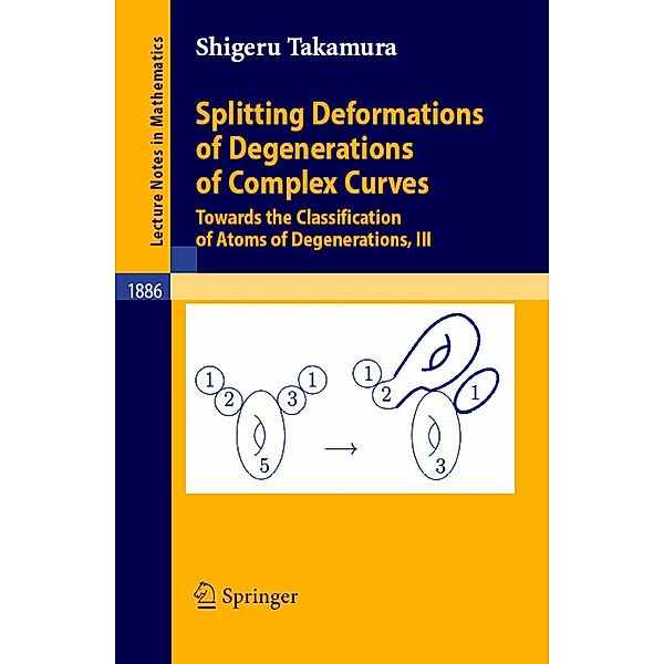Splitting Deformations of Degenerations of Complex Curves / Lecture Notes in Mathematics Bd.1886, Shigeru Takamura