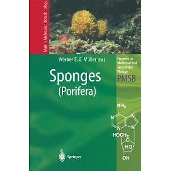 Sponges (Porifera) / Progress in Molecular and Subcellular Biology Bd.37