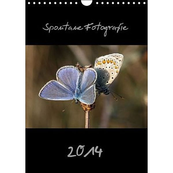 Spontane Fotografie 2014 (Wandkalender 2014 DIN A4 hoch), Melanie Münchow-Peth