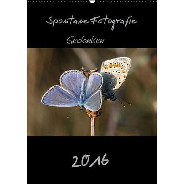 Spontane Fotografie 2016 (Wandkalender 2016 DIN A2 hoch), Melanie Münchow-Peth