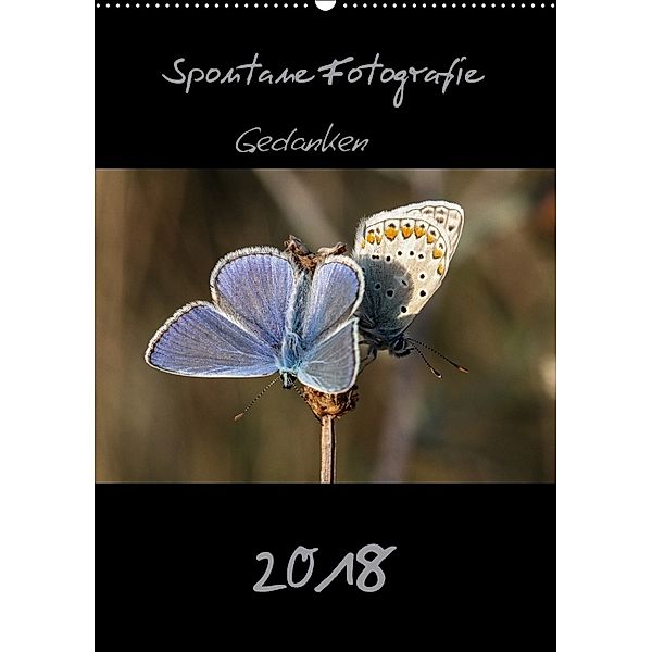 Spontane Fotografie 2018 (Wandkalender 2018 DIN A2 hoch), Melanie Münchow-Peth