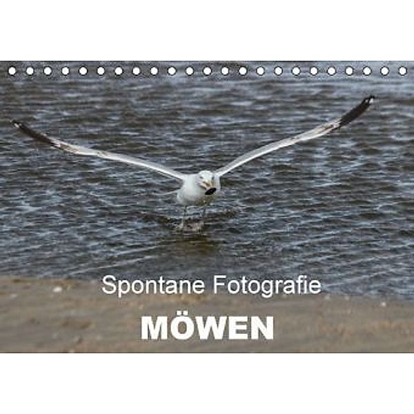 Spontane Fotografie - Möwen (Tischkalender 2015 DIN A5 quer), Melanie Münchow-Peth