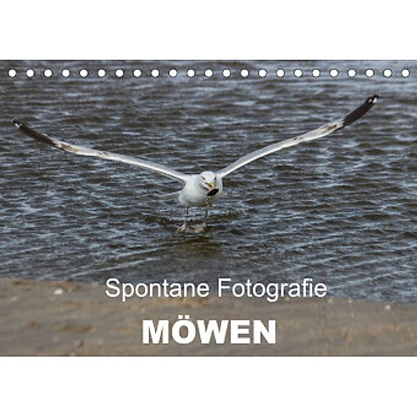 Spontane Fotografie - Möwen (Tischkalender 2022 DIN A5 quer), Melanie MP