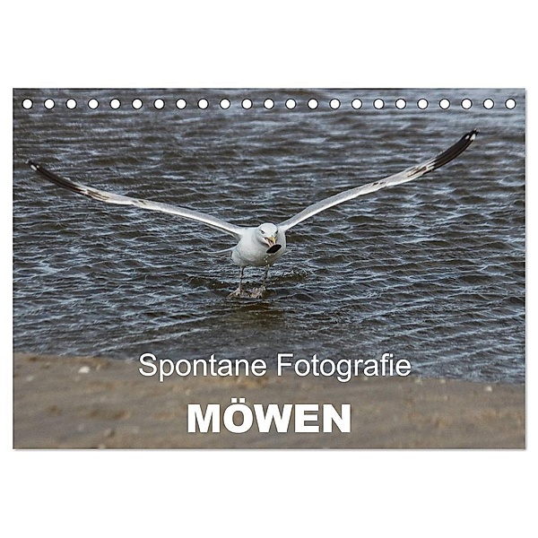 Spontane Fotografie - Möwen (Tischkalender 2024 DIN A5 quer), CALVENDO Monatskalender, Melanie MP