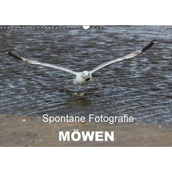 Spontane Fotografie - Möwen (Wandkalender 2015 DIN A3 quer), Melanie Münchow-Peth