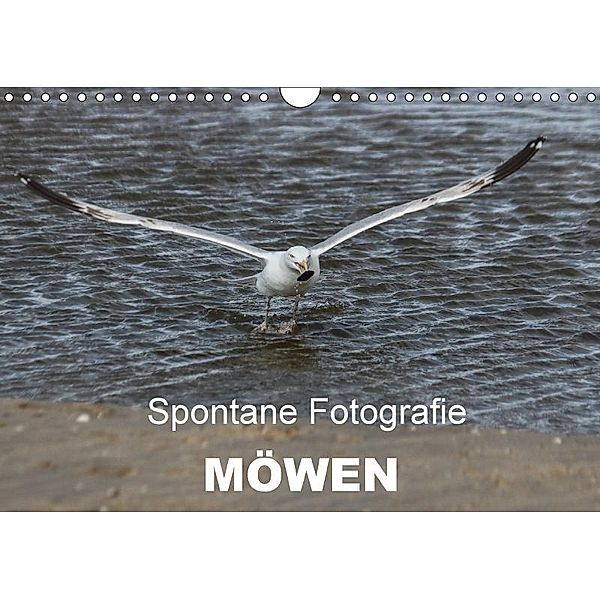 Spontane Fotografie - Möwen (Wandkalender 2017 DIN A4 quer), Melanie Münchow-Peth