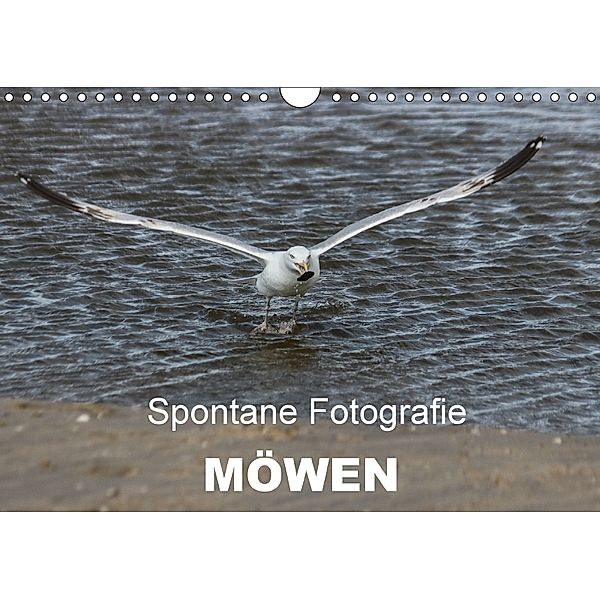 Spontane Fotografie - Möwen (Wandkalender 2018 DIN A4 quer), Melanie Münchow-Peth