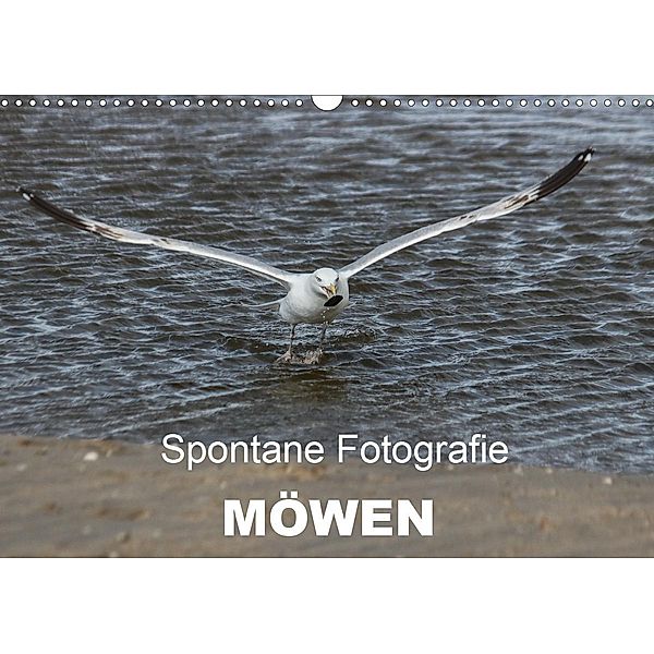 Spontane Fotografie - Möwen (Wandkalender 2021 DIN A3 quer), Melanie MP