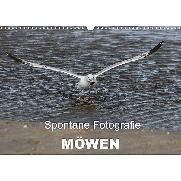 Spontane Fotografie - Möwen (Wandkalender 2023 DIN A3 quer), Melanie MP