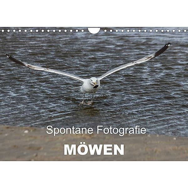 Spontane Fotografie - Möwen (Wandkalender 2023 DIN A4 quer), Melanie MP