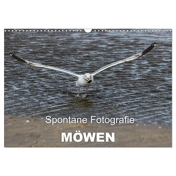 Spontane Fotografie - Möwen (Wandkalender 2024 DIN A3 quer), CALVENDO Monatskalender, Melanie MP