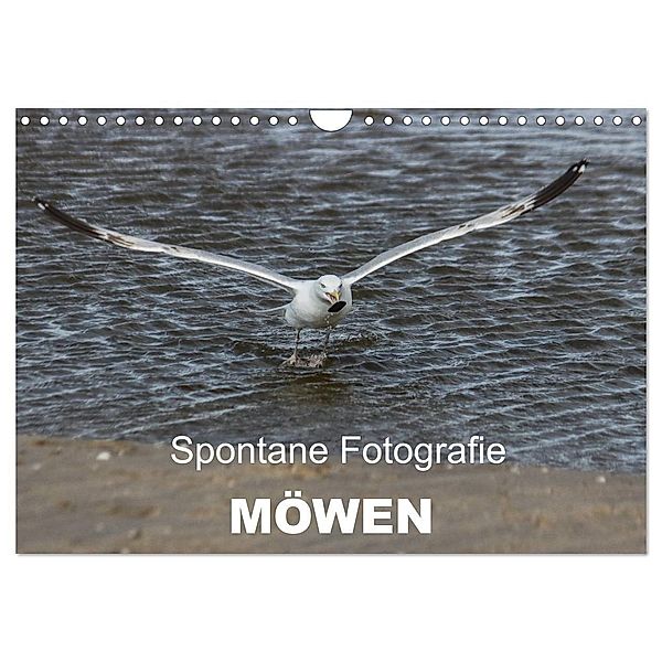 Spontane Fotografie - Möwen (Wandkalender 2024 DIN A4 quer), CALVENDO Monatskalender, Melanie MP