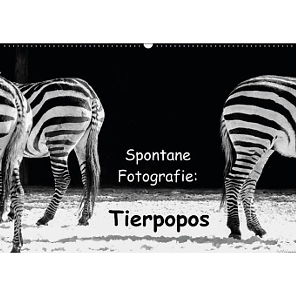 Spontane Fotografie: Tierpopos (Wandkalender 2015 DIN A2 quer), Melanie Münchow-Peth