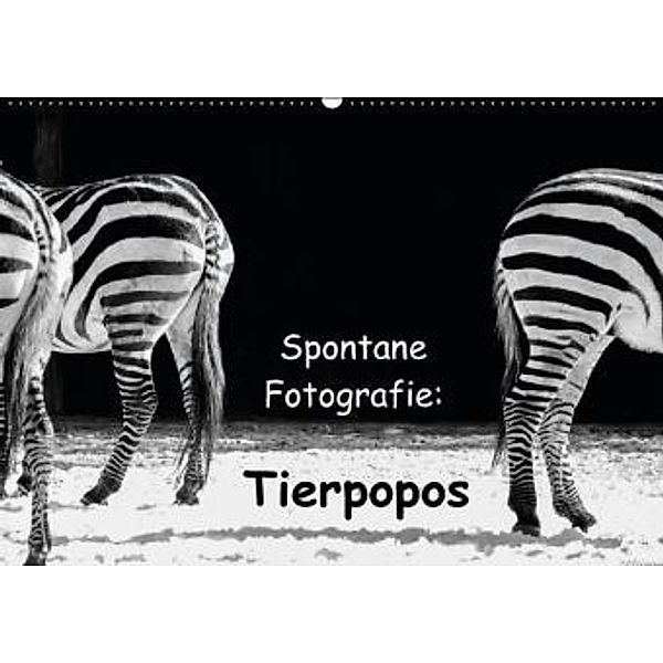 Spontane Fotografie: Tierpopos (Wandkalender 2016 DIN A2 quer), Melanie Münchow-Peth